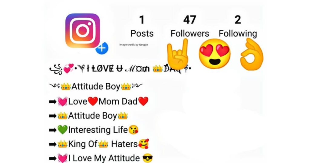 Instagram Ki Bio Me Kya Likhe 