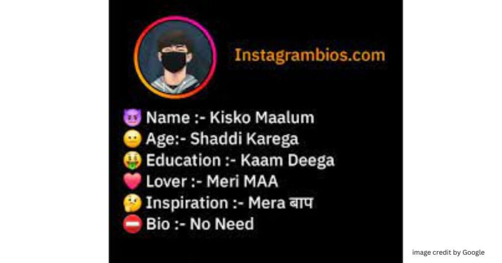  Instagram Bio Hindi