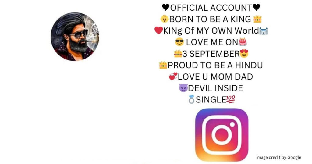  Instagram Bio Hindi