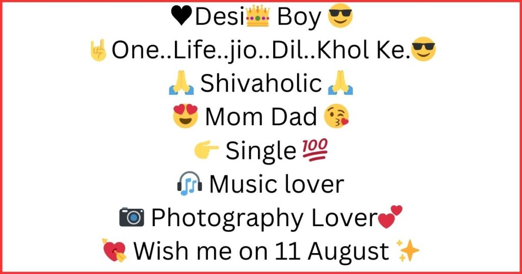 Instagram Bio For Boys Attitude 