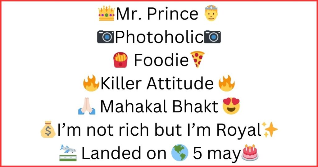 Instagram Bio For Boys Attitude 