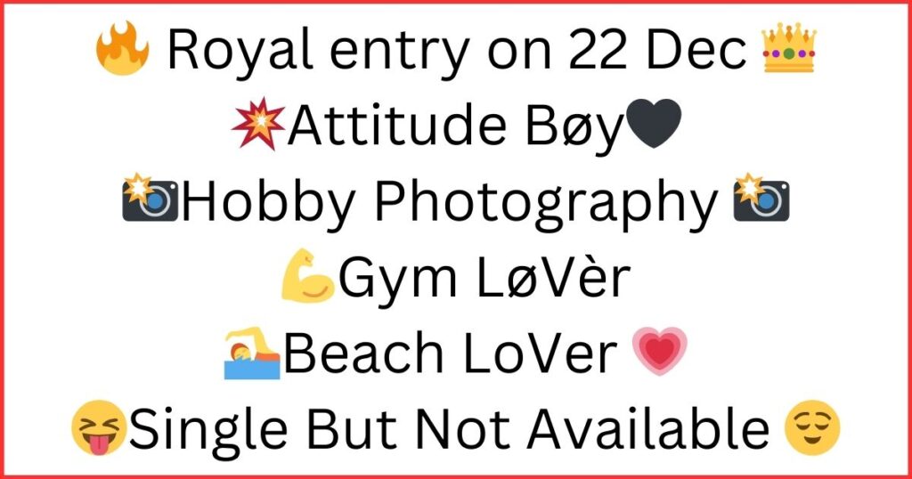 Instagram Bio For Boys Attitude 