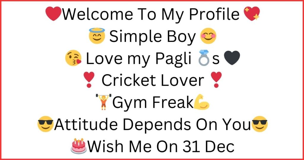 Instagram Bio For Boys Attitude 