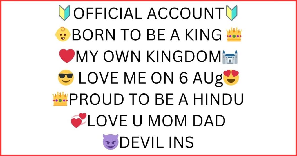 Instagram Bio For Boys Attitude 