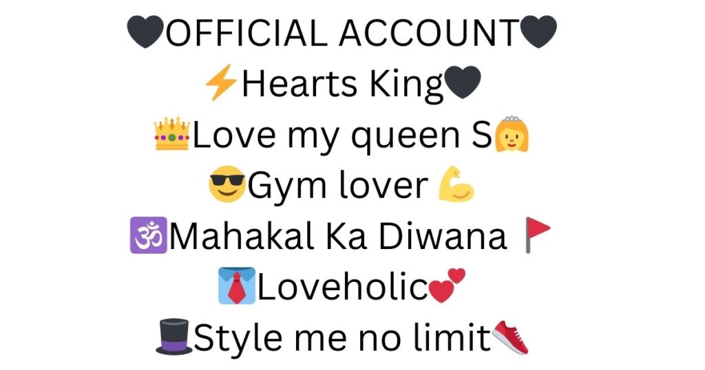 Stylish Bio For Instagram For Boy